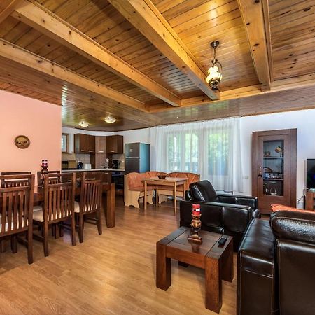 Oasis Mountain Villa Brassó Kültér fotó