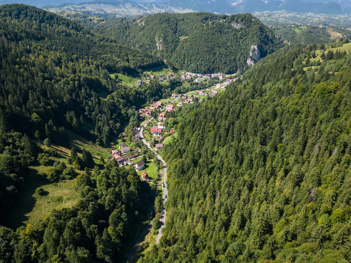 Oasis Mountain Villa Brassó Kültér fotó