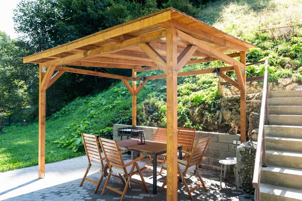 Oasis Mountain Villa Brassó Kültér fotó