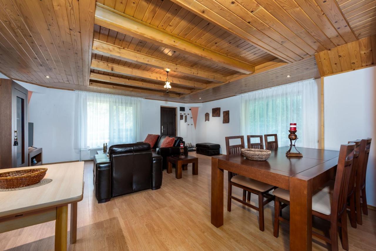 Oasis Mountain Villa Brassó Kültér fotó