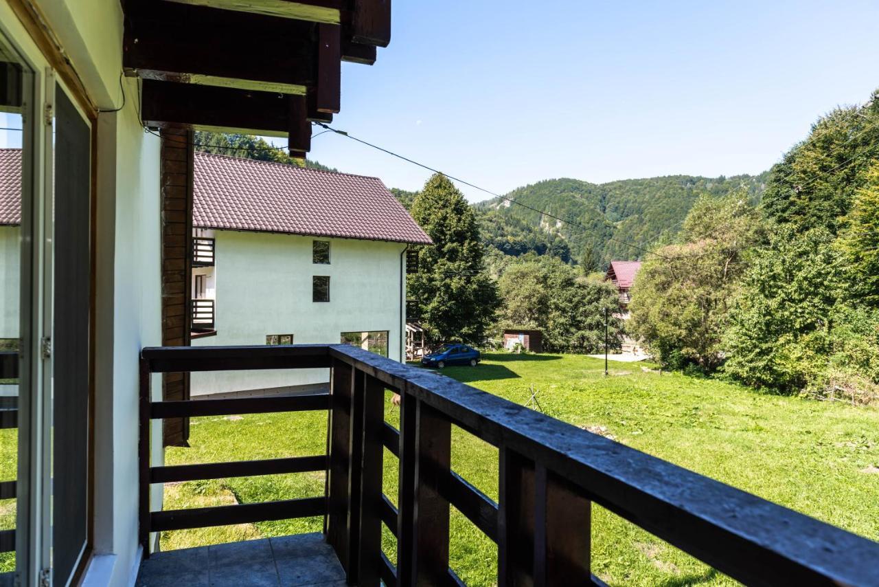 Oasis Mountain Villa Brassó Kültér fotó