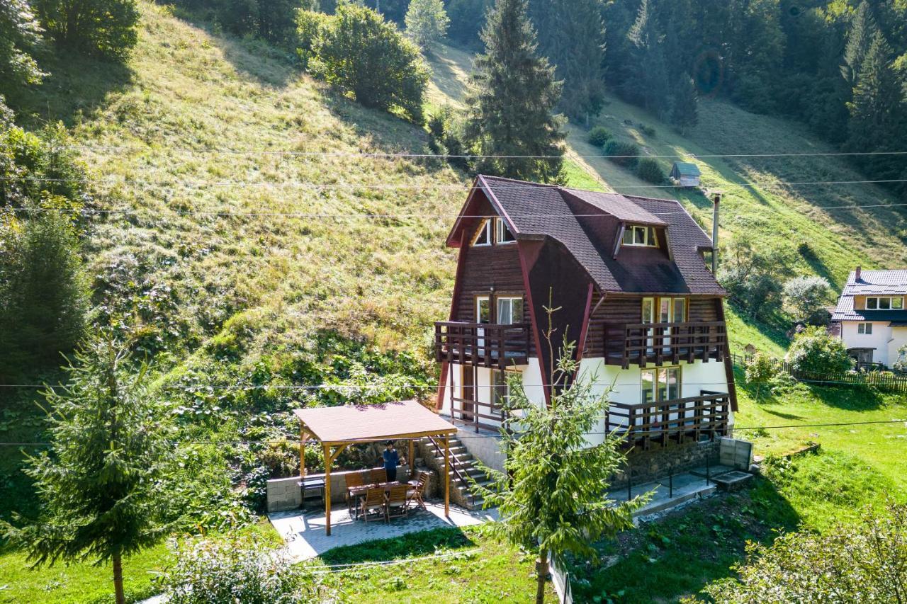 Oasis Mountain Villa Brassó Kültér fotó