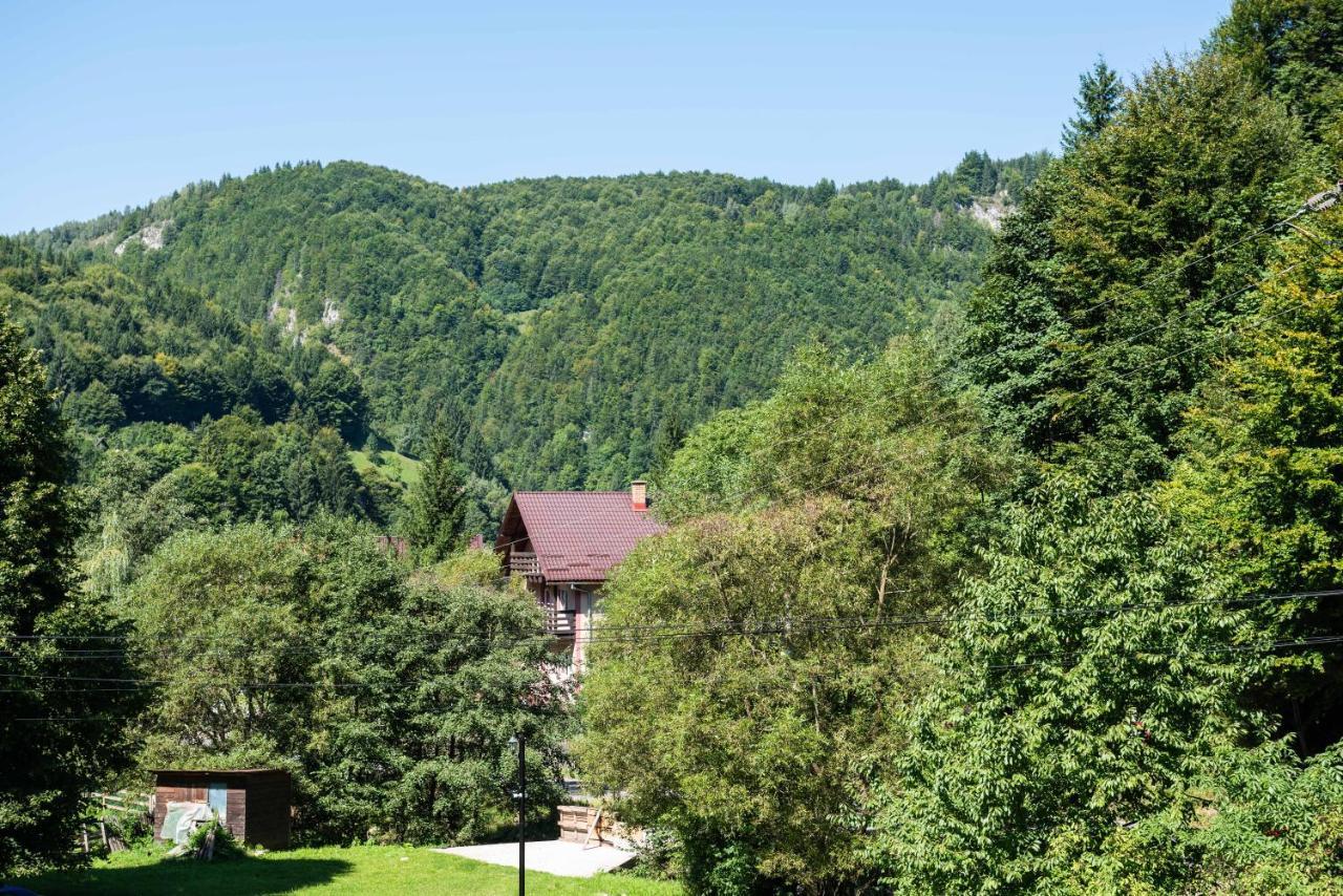Oasis Mountain Villa Brassó Kültér fotó